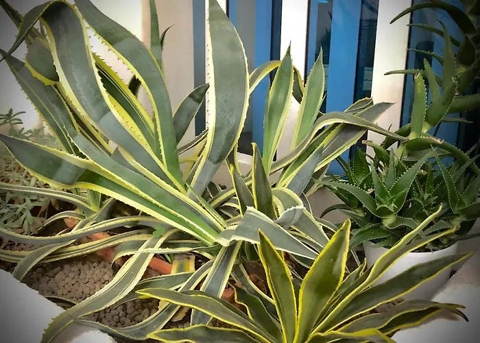 Hotel La Parigina Lignano Sabbiadoro